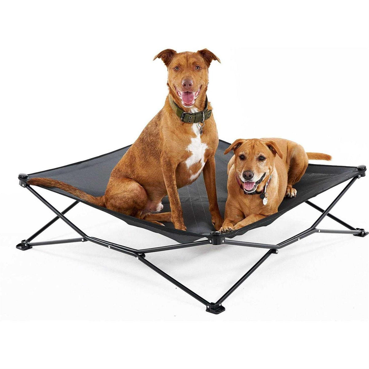 Elevated Pet Bed Q755