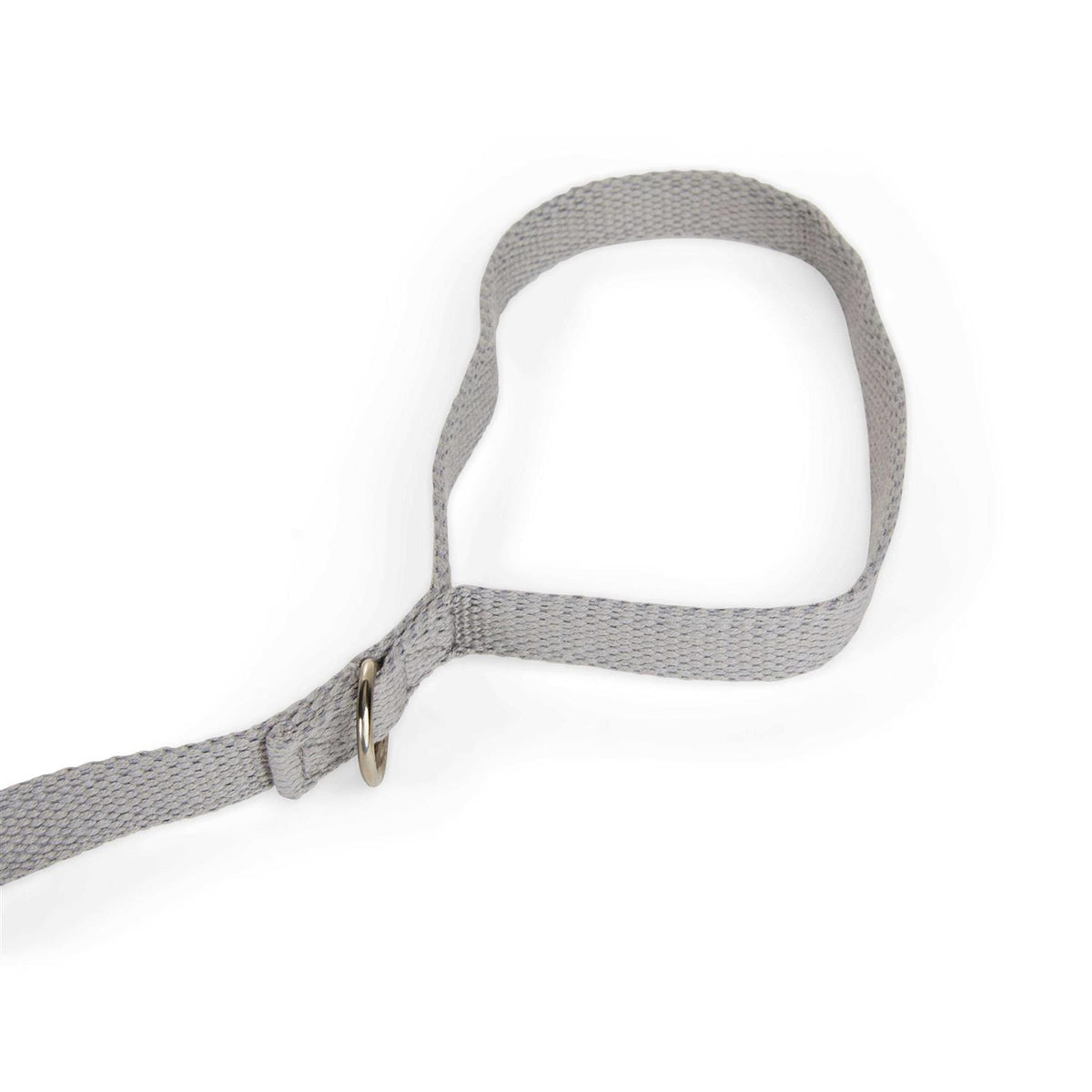 Adjustable Dog Lead F549