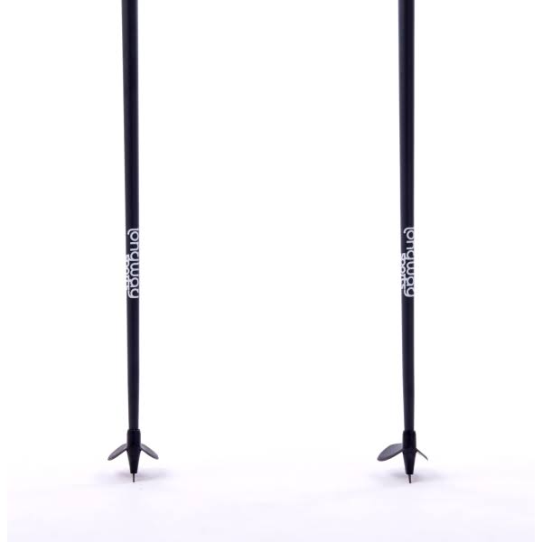 Cross Country Ski Poles G32913