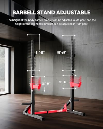 Heavy Duty Adjustable Squat Rack R982043