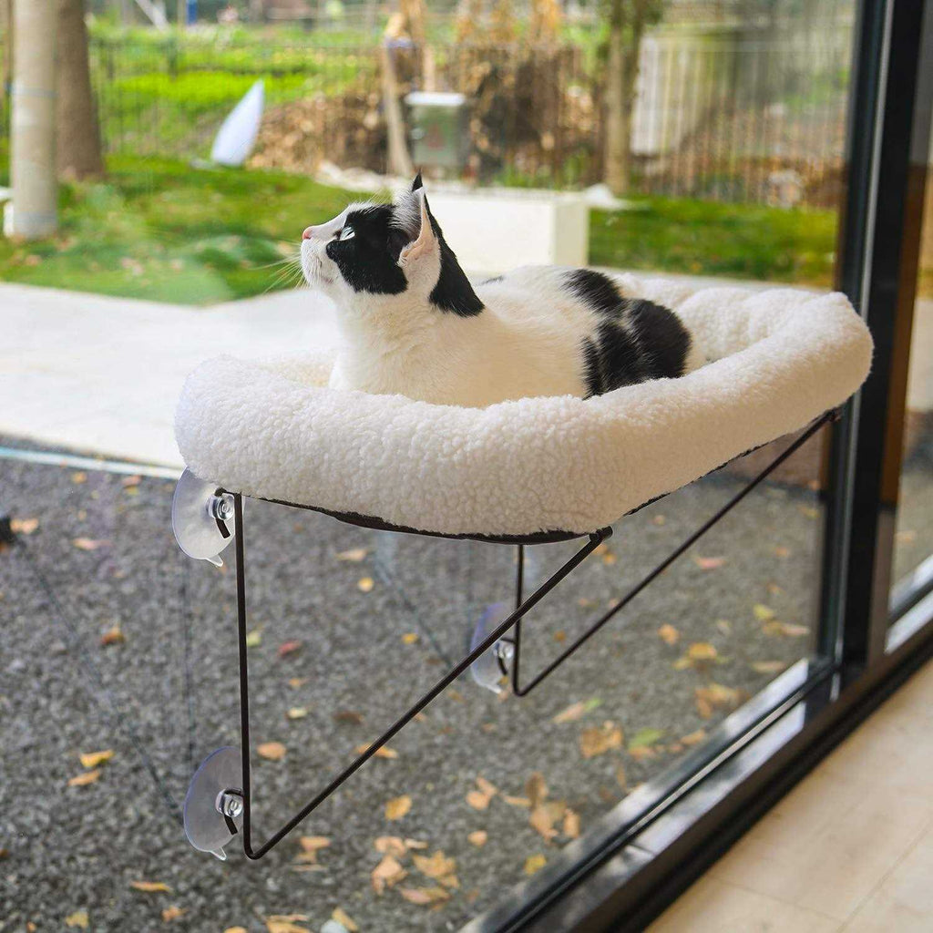 Cat Window Perch P83717