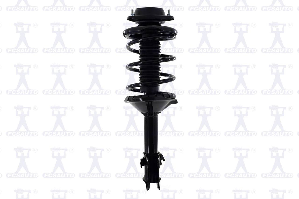 Suspension Strut and Coil Spring Assembly B1974