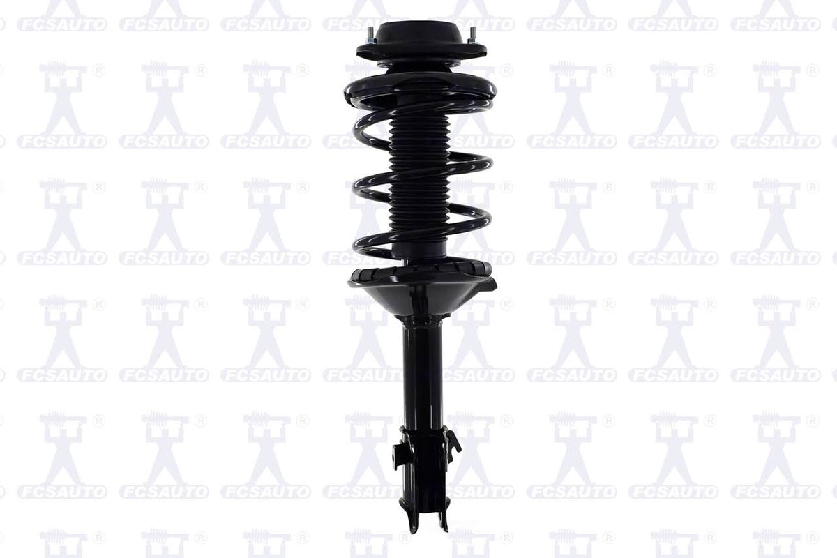 Suspension Strut and Coil Spring Assembly B1974