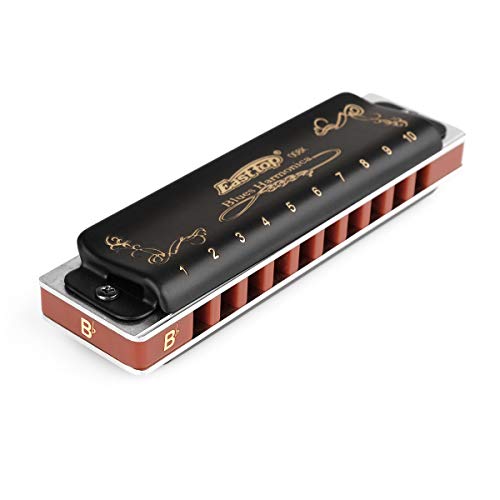 Harmonica Key of G 10 Hole 20 Tone Black with Case & Cleaning Cloth V1849