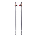 Cross Country Ski Poles G32913