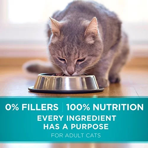 Natural Dry Cat Food With Real Chicken 7 lb. Bag U251435