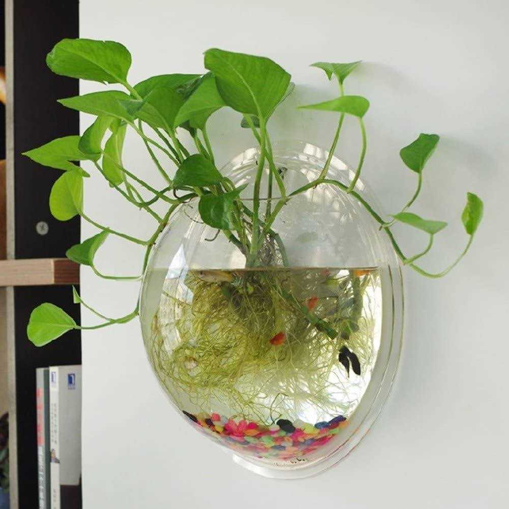 Wall Mounted Acrylic Fish Bowl M9579