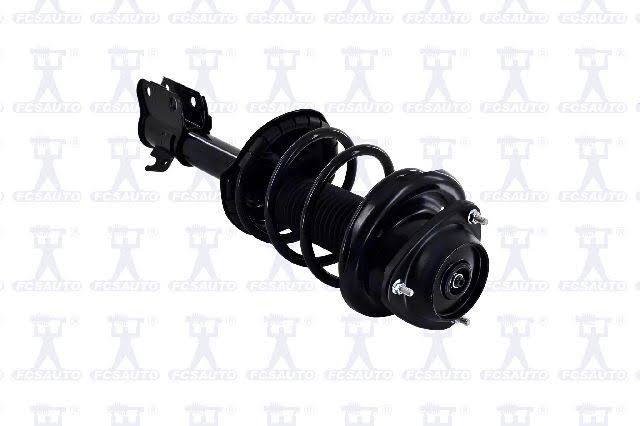 Suspension Strut and Coil Spring Assembly B1974