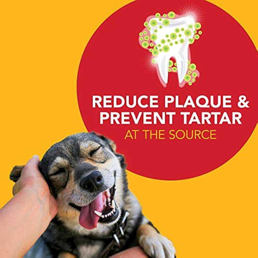 Natural Toothpaste for Dogs G359