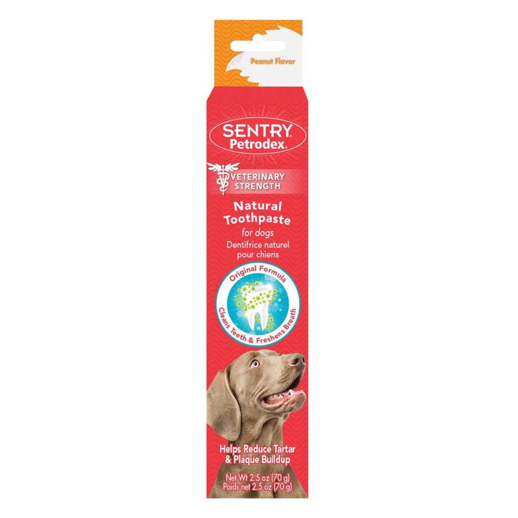 Natural Toothpaste for Dogs G359