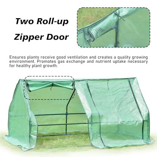 6 ft. x 3 ft. x 3ft. Mini Greenhouse with 2 Zipper Doors Q96114
