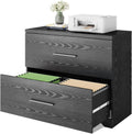 2 Drawer Wood Lateral File Cabinet with Anti-tilt Mechanism D64044