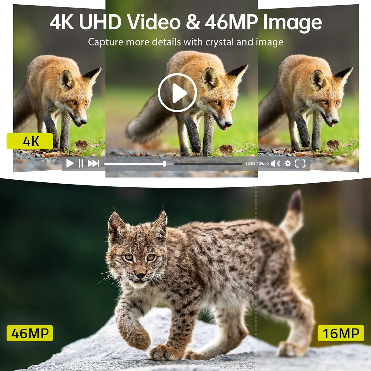 4K 30fps 46MP Night Vision Waterproof IP66 Motion Activated Trail Camera A9133