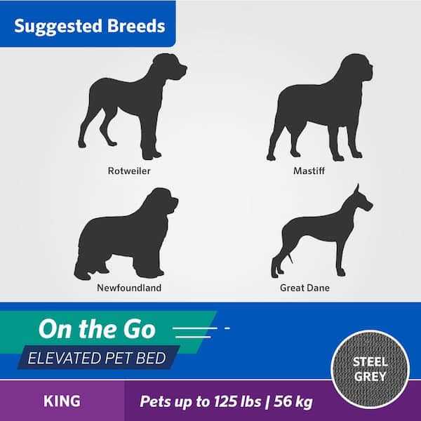 Elevated Pet Bed Q755