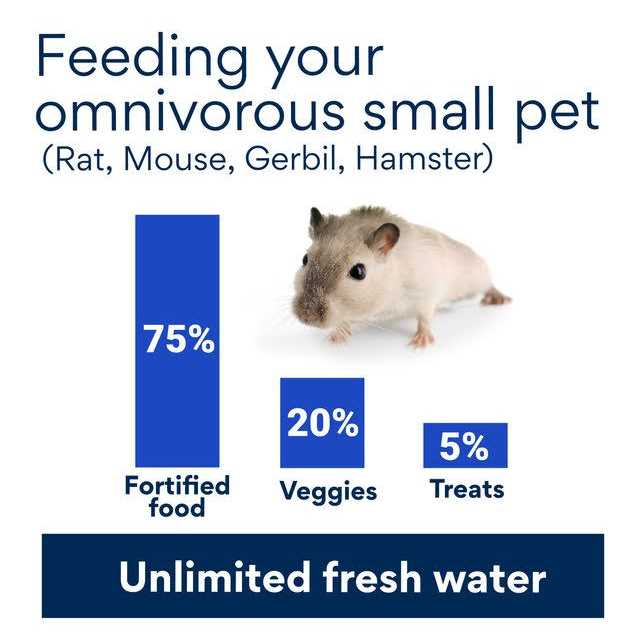 Chamomile Small Animal Treat B33567