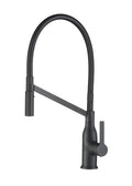 Matte Black Gooseneck Single Lever Kitchen Faucet with Spray Head R16359