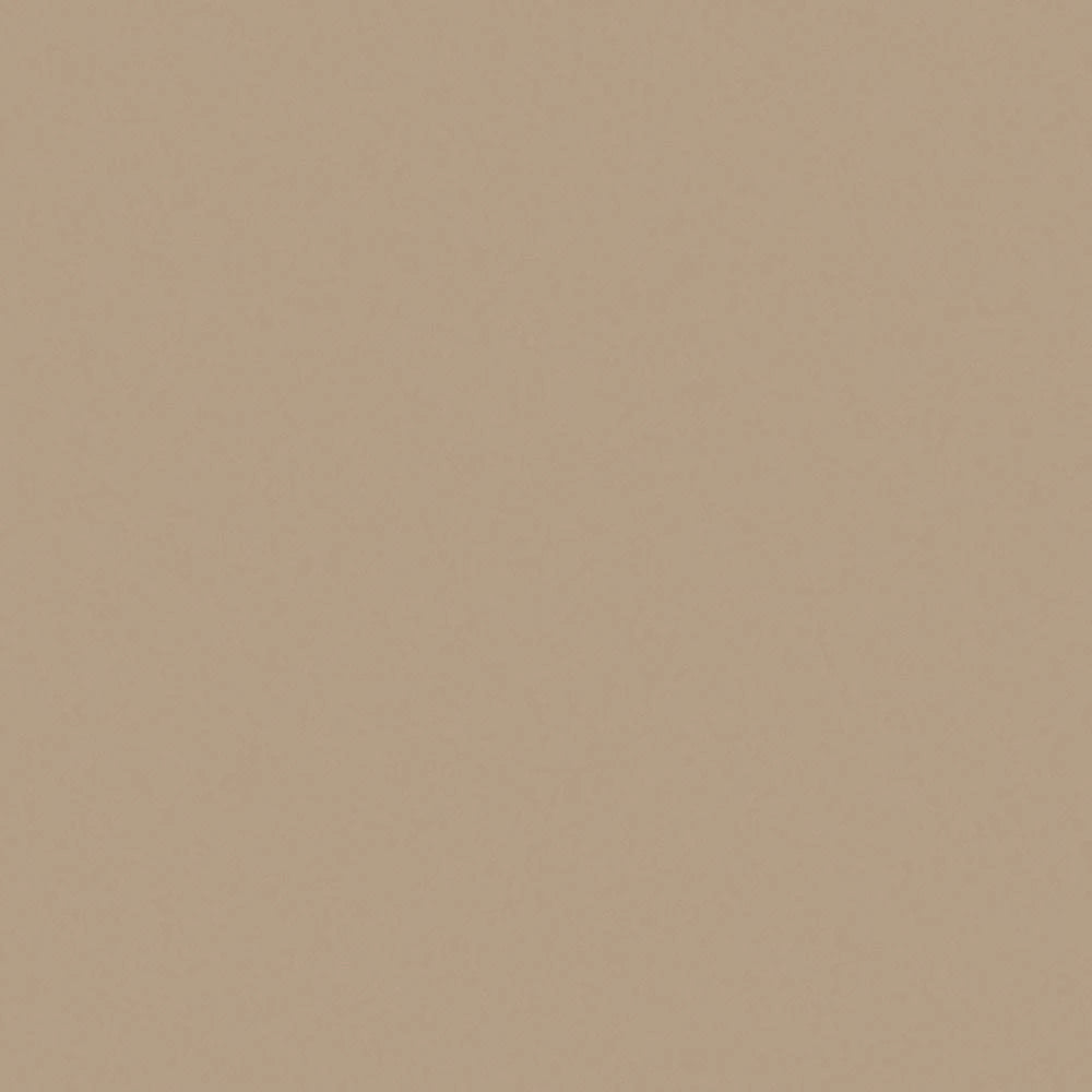 Khaki Brown Matte Finish 4 ft. x 8 ft. Vertical Grade Laminate Sheet G803394