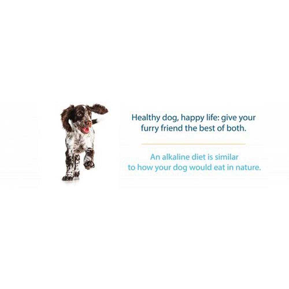 Limited Ingredient Dry Dog Food B516713