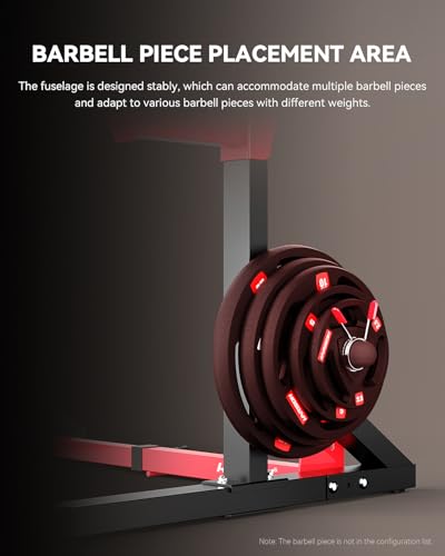 Heavy Duty Adjustable Squat Rack R982043