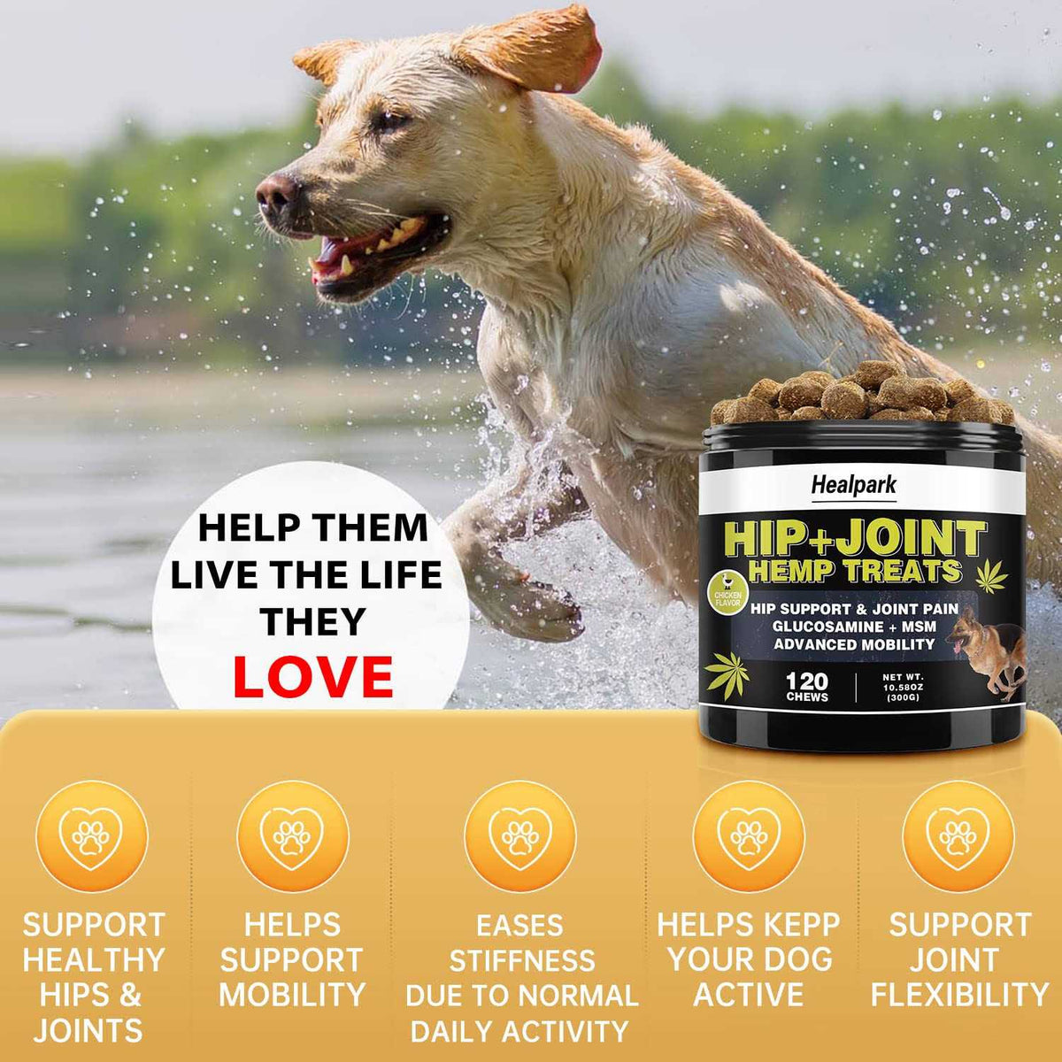 Hemp Hip and Joint Supplement for Dogs P925062