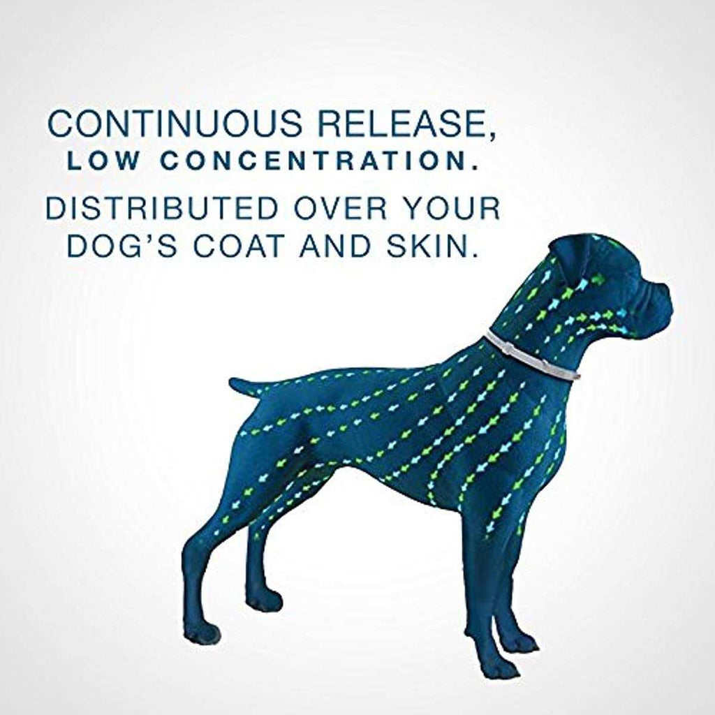 Flea and Tick Collar for Dogs C9646