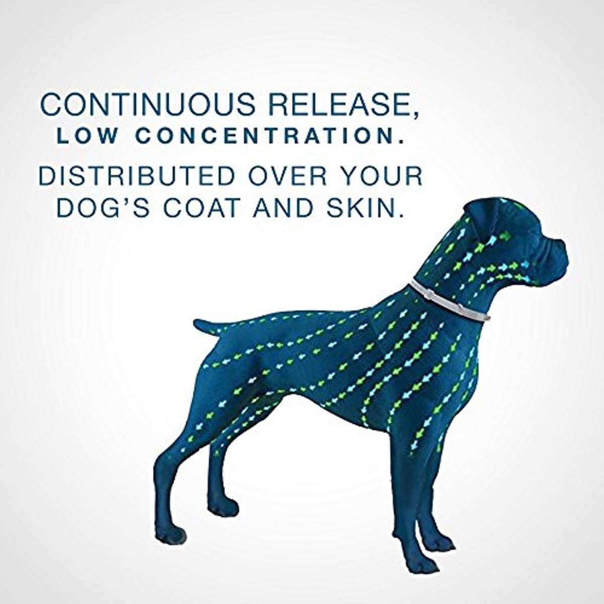 Flea and Tick Collar for Dogs C9646