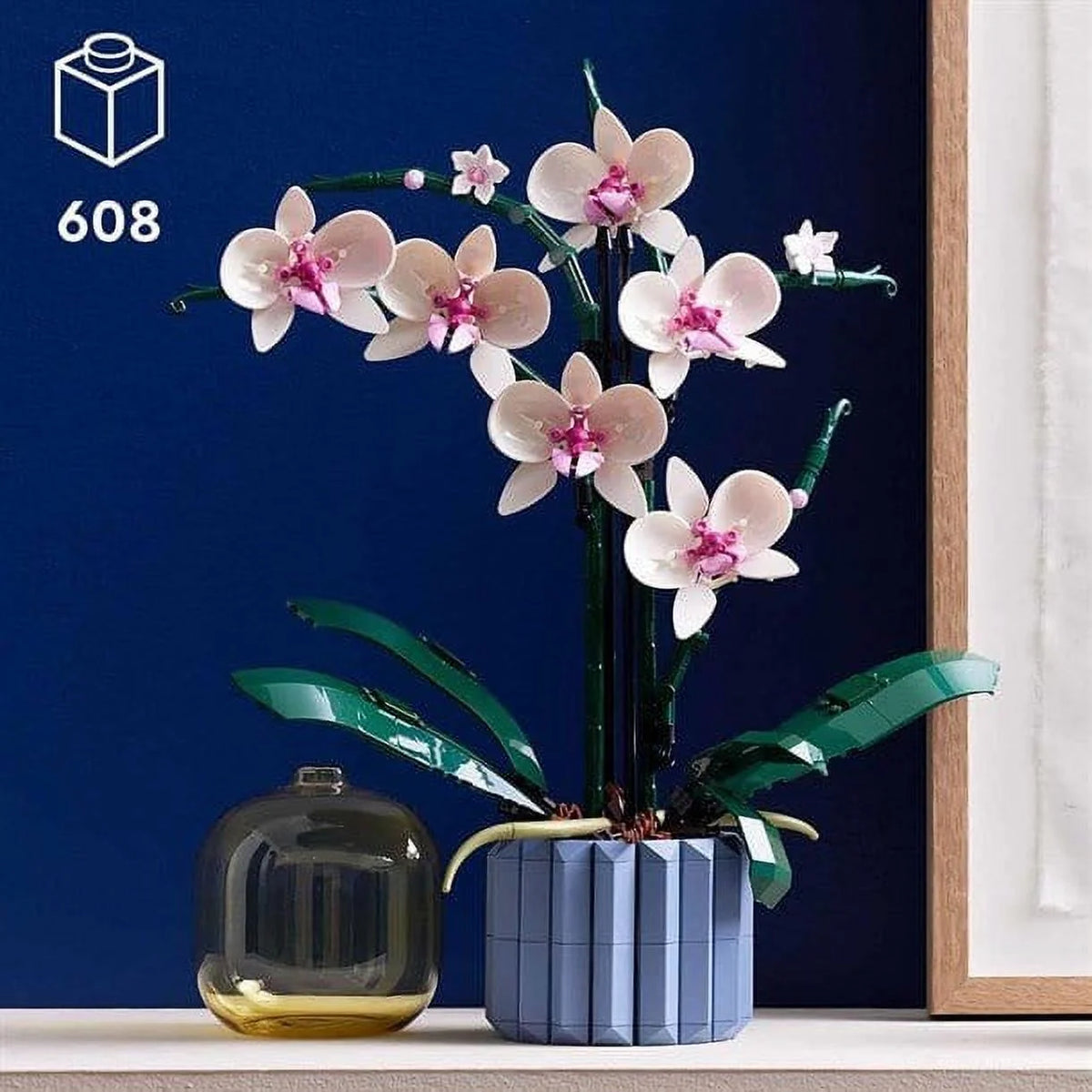Orchid G28638