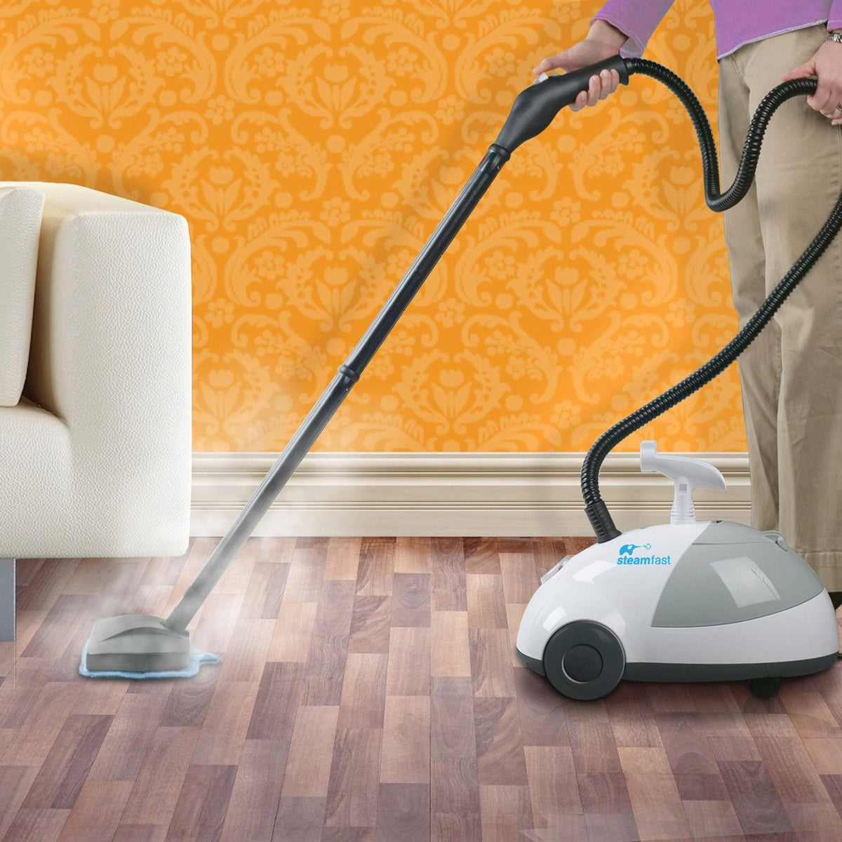 Canister Steam Cleaner X805