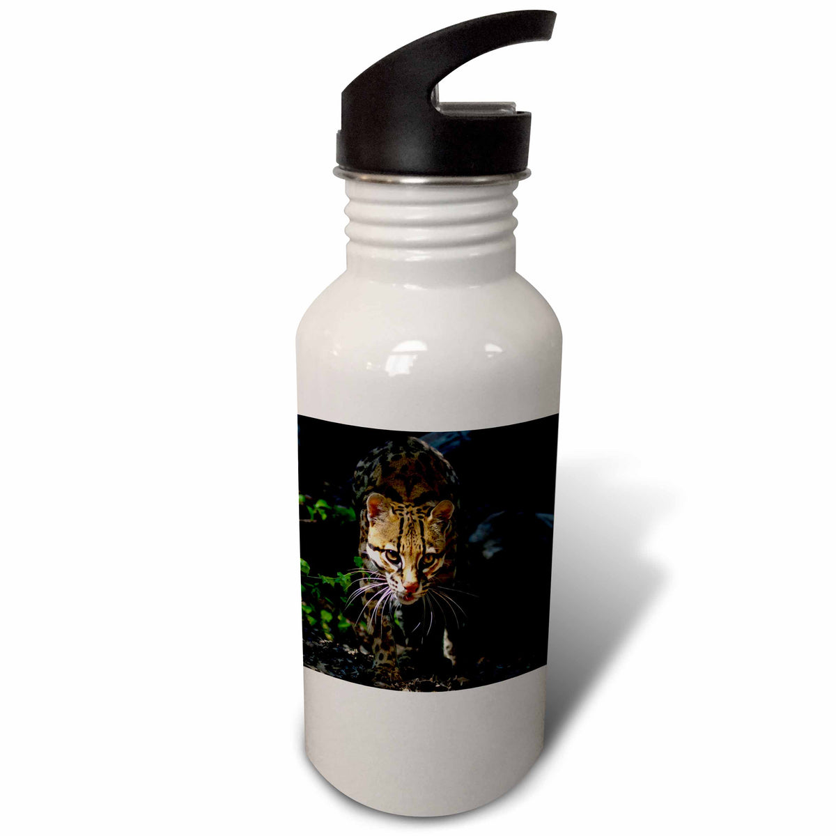 21 oz Sports Water Bottle O445