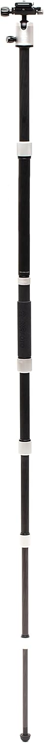 Silver 1 Series Carbon Fiber Travel Tripod with Ballhead and Monopod D18002