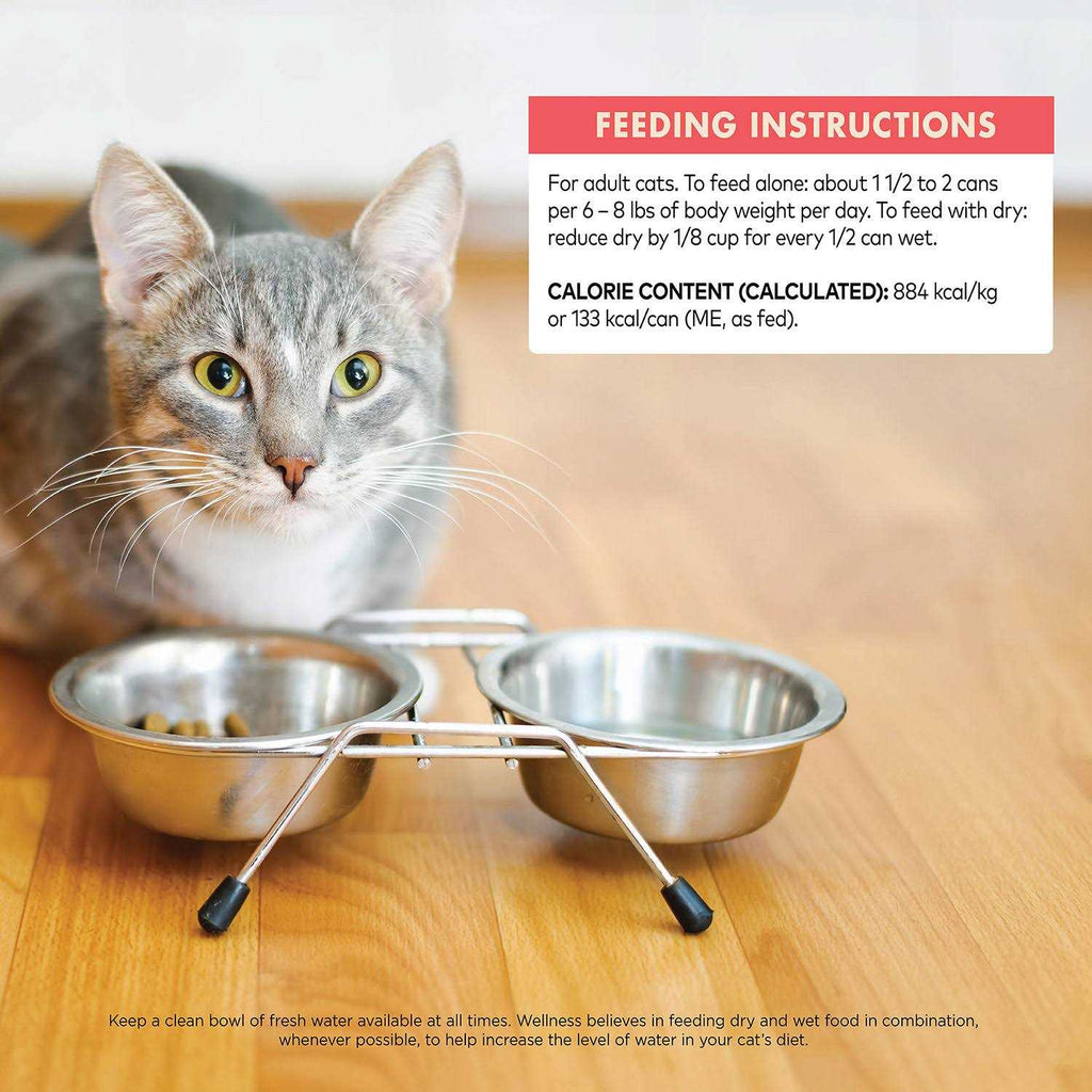 Grain Free Skipjack Tuna & Wild Salmon Canned Cat Food W94821