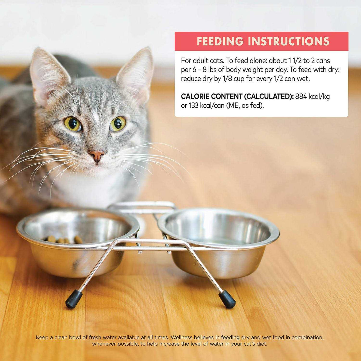 Grain Free Skipjack Tuna & Wild Salmon Canned Cat Food W94821