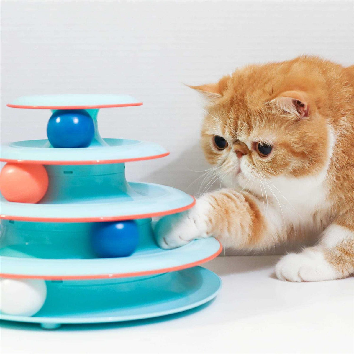Cat Toy J821201