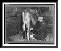 Framed Print 17-7/8" x 21-7/8" G702