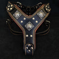 Dog Leather Harness D767