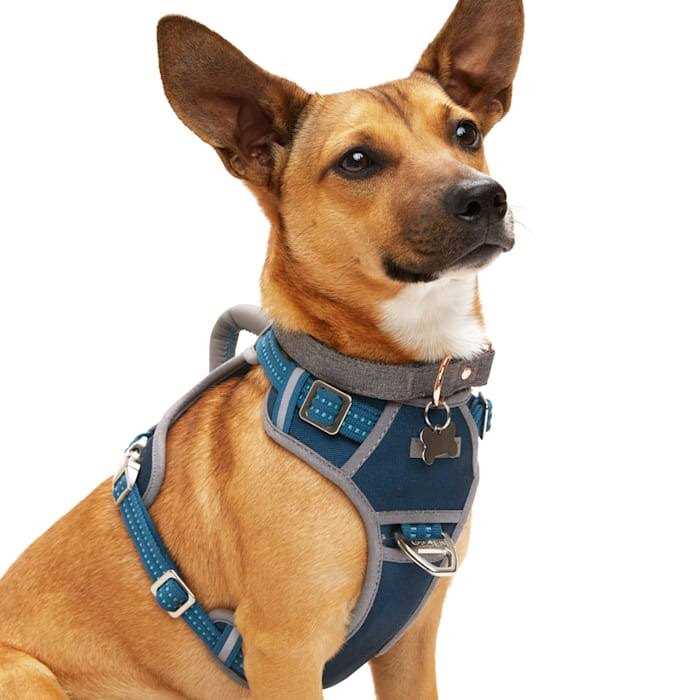 Navy Dog Harness R4494