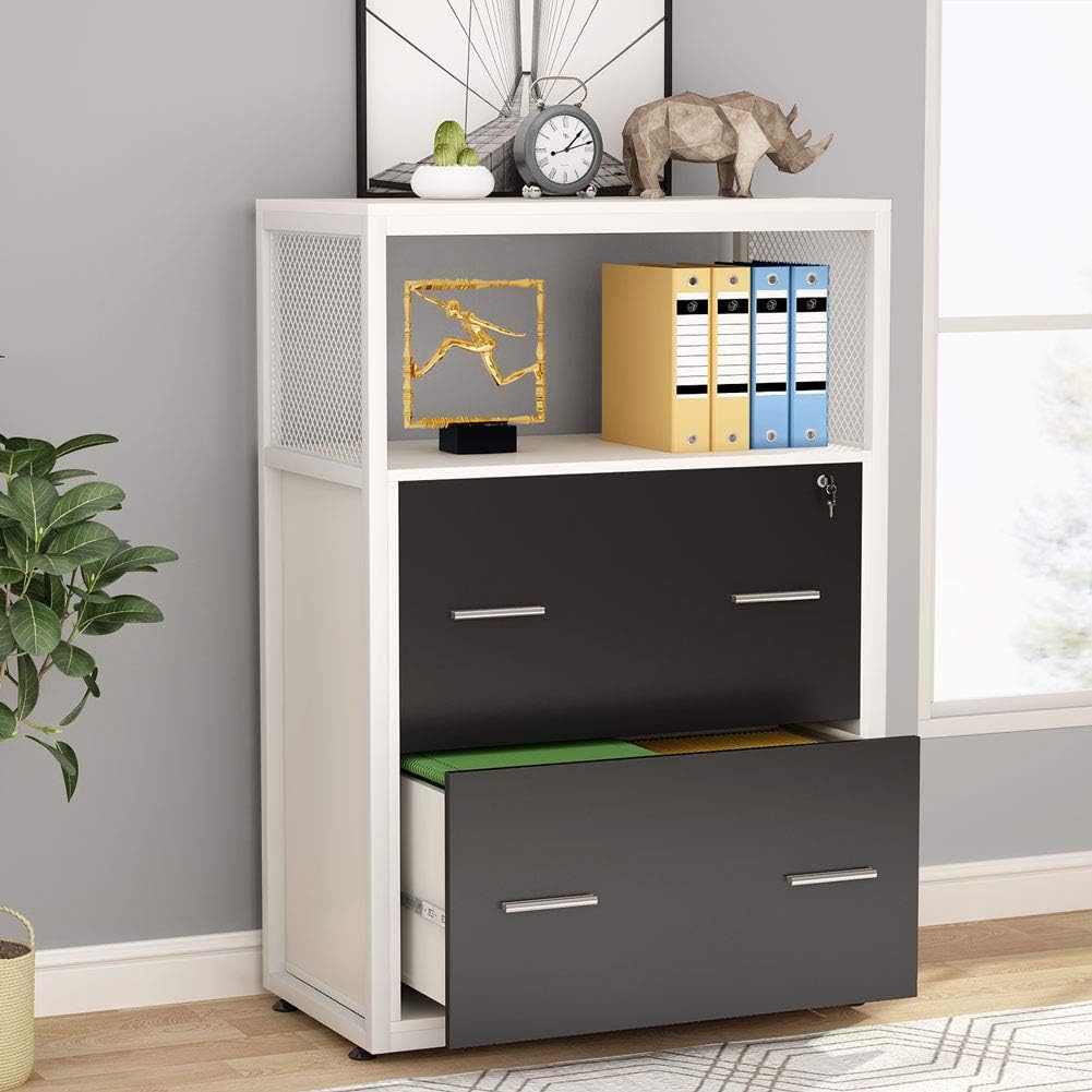 2 Drawer Lateral File Cabinet with Lock C688948