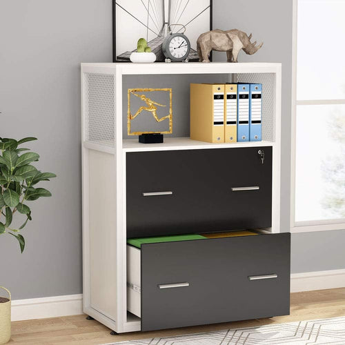 2 Drawer Lateral File Cabinet with Lock C688948