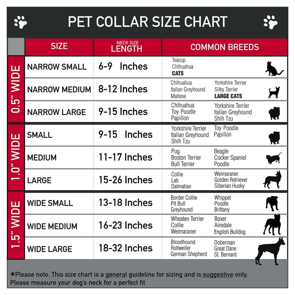 Pet Collar Y891474