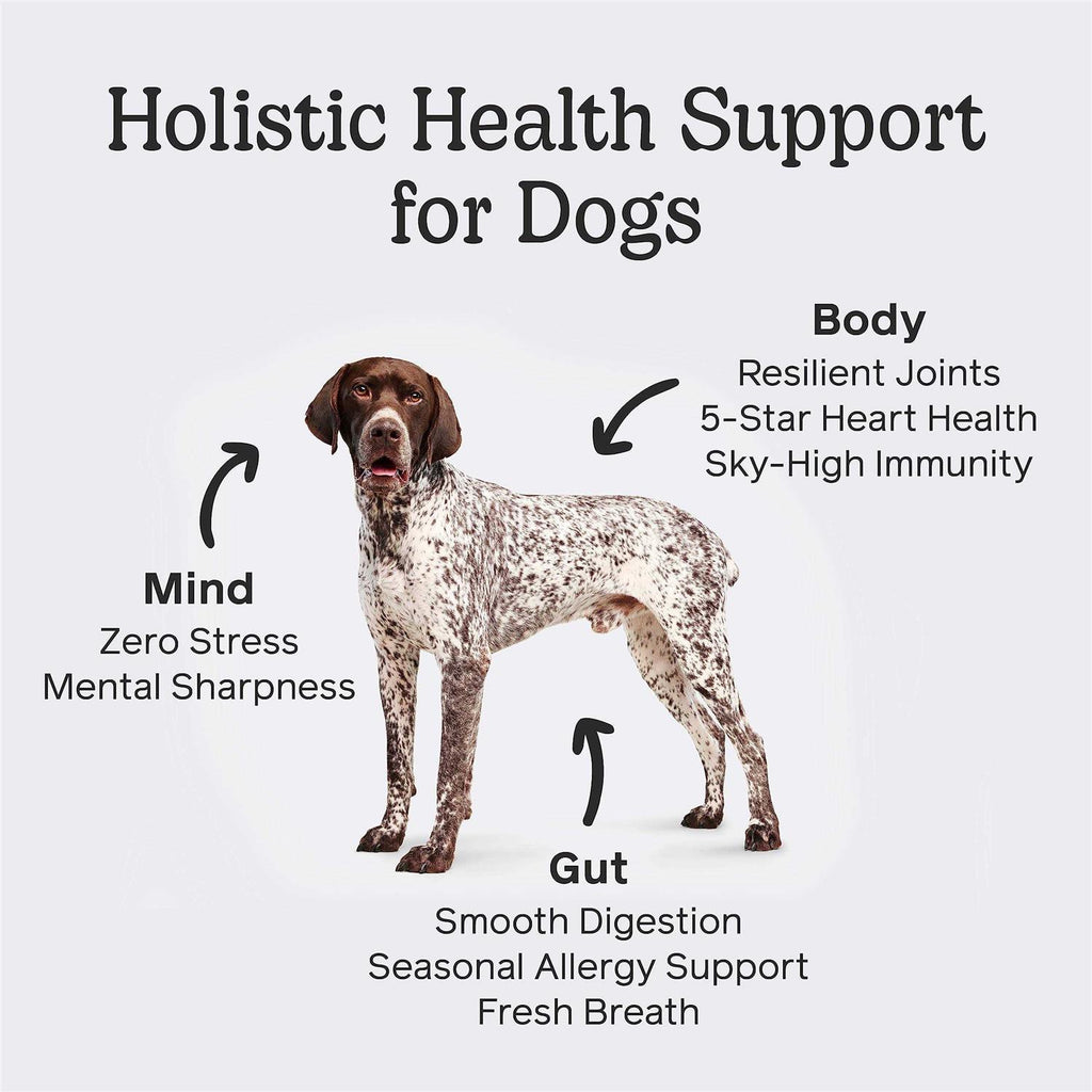 Dog G834853