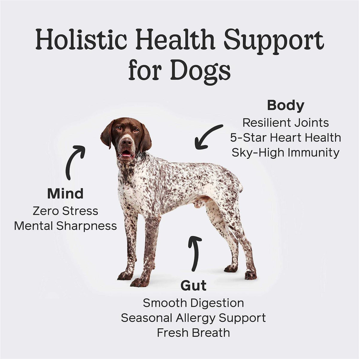 Dog G834853