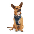 Navy Dog Harness R4494