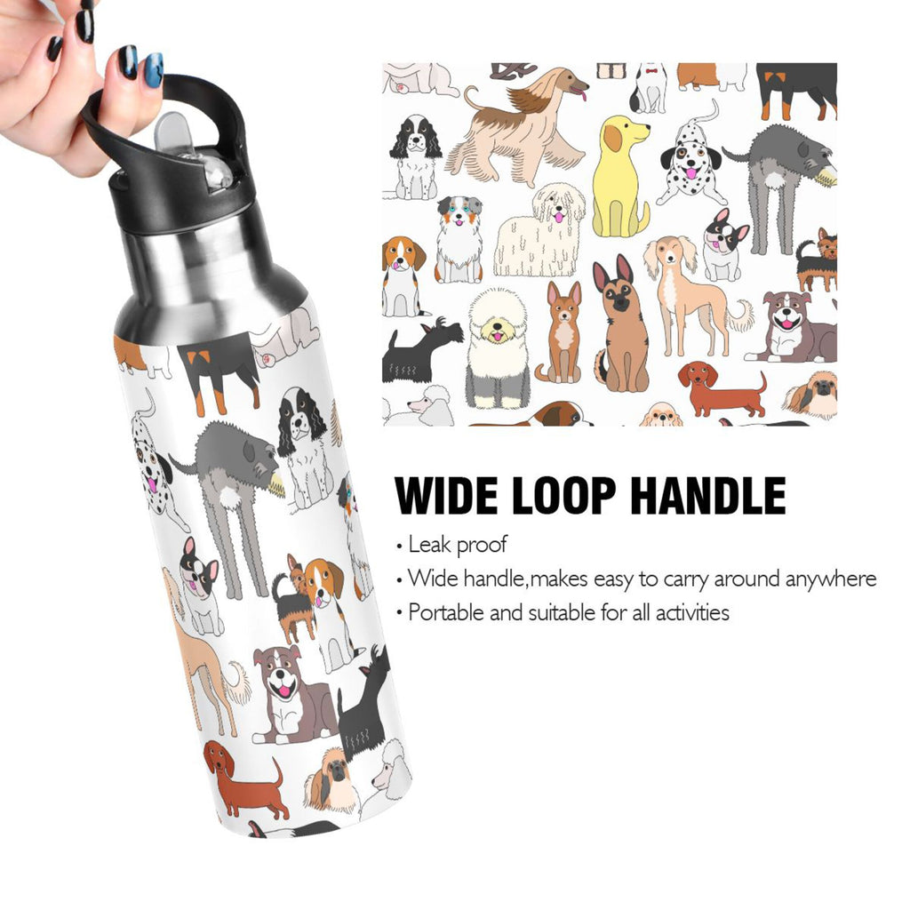 20 oz Insulated Stainless Steel Water Bottle with Straw Lid B720