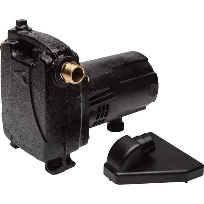 Cast Iron Portable Water Pump N775463