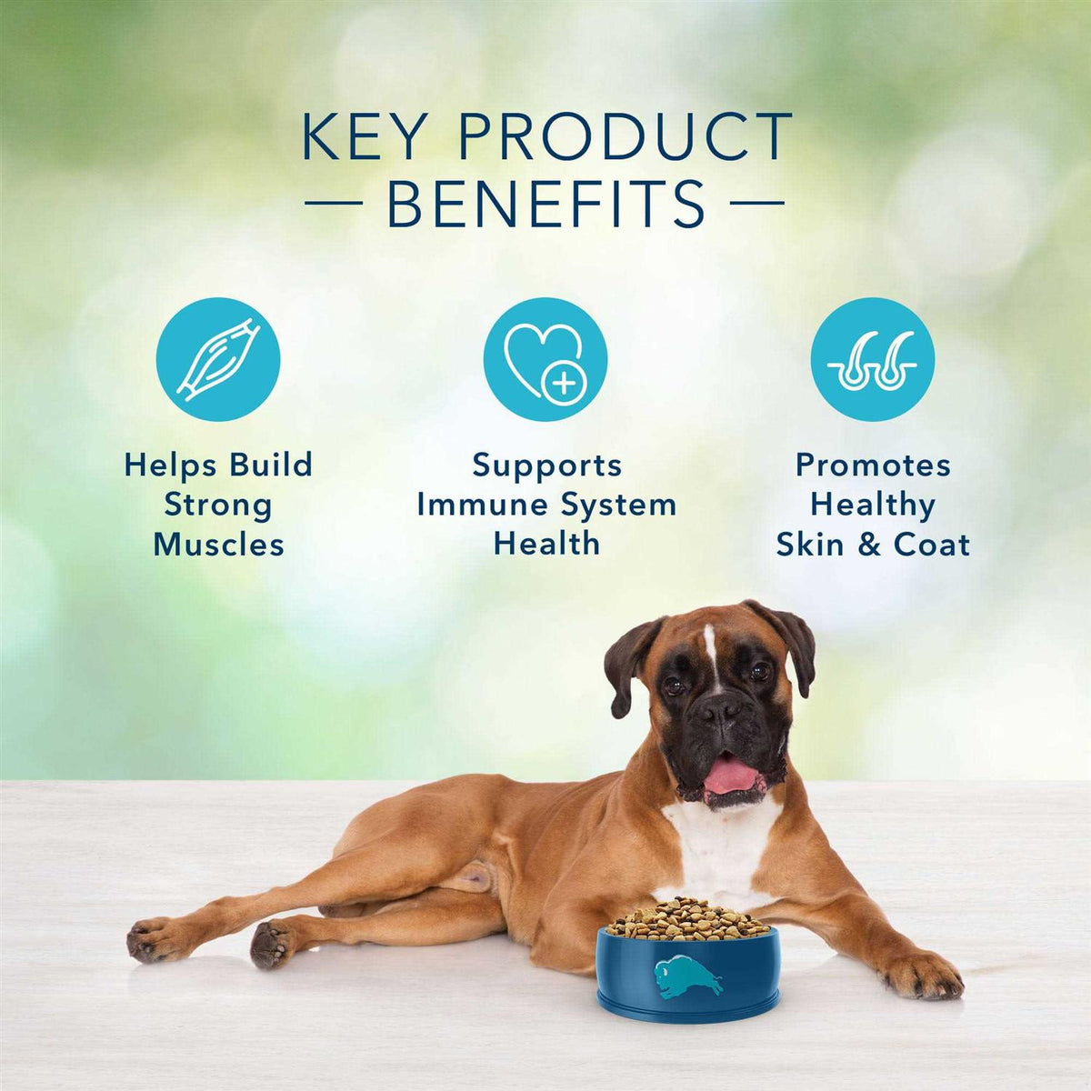 Blue Buffalo Freedom Adult Free Dog Food V179