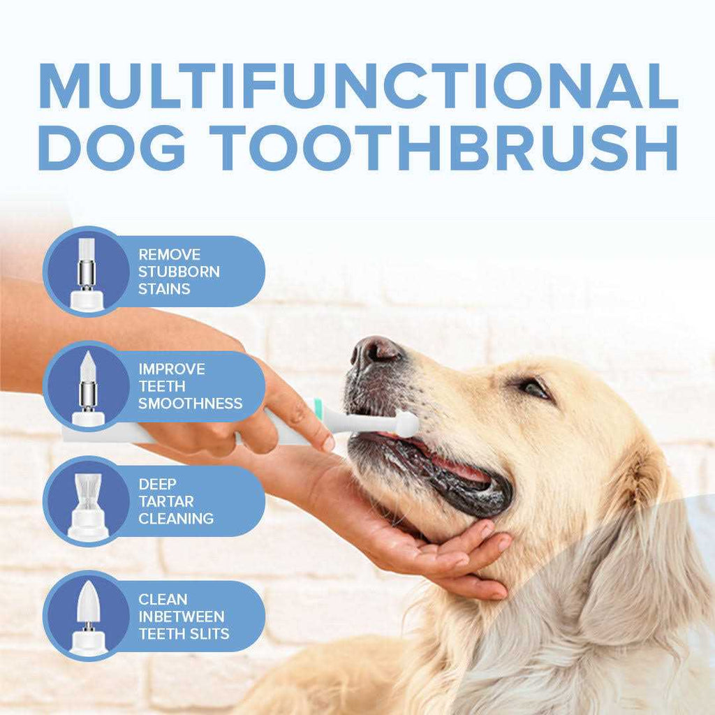 Electric Toothbrush for Dogs with Brush Heads B59386