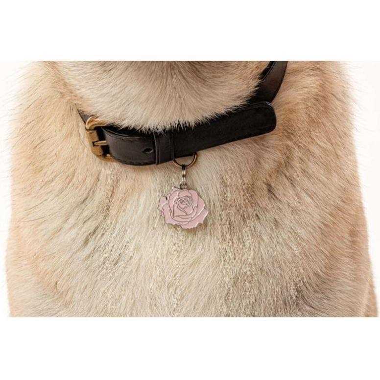 Pet Supplies B4929