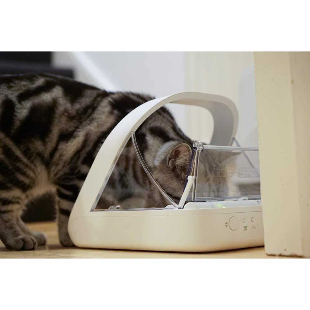 Microchip Pet Feeder E106