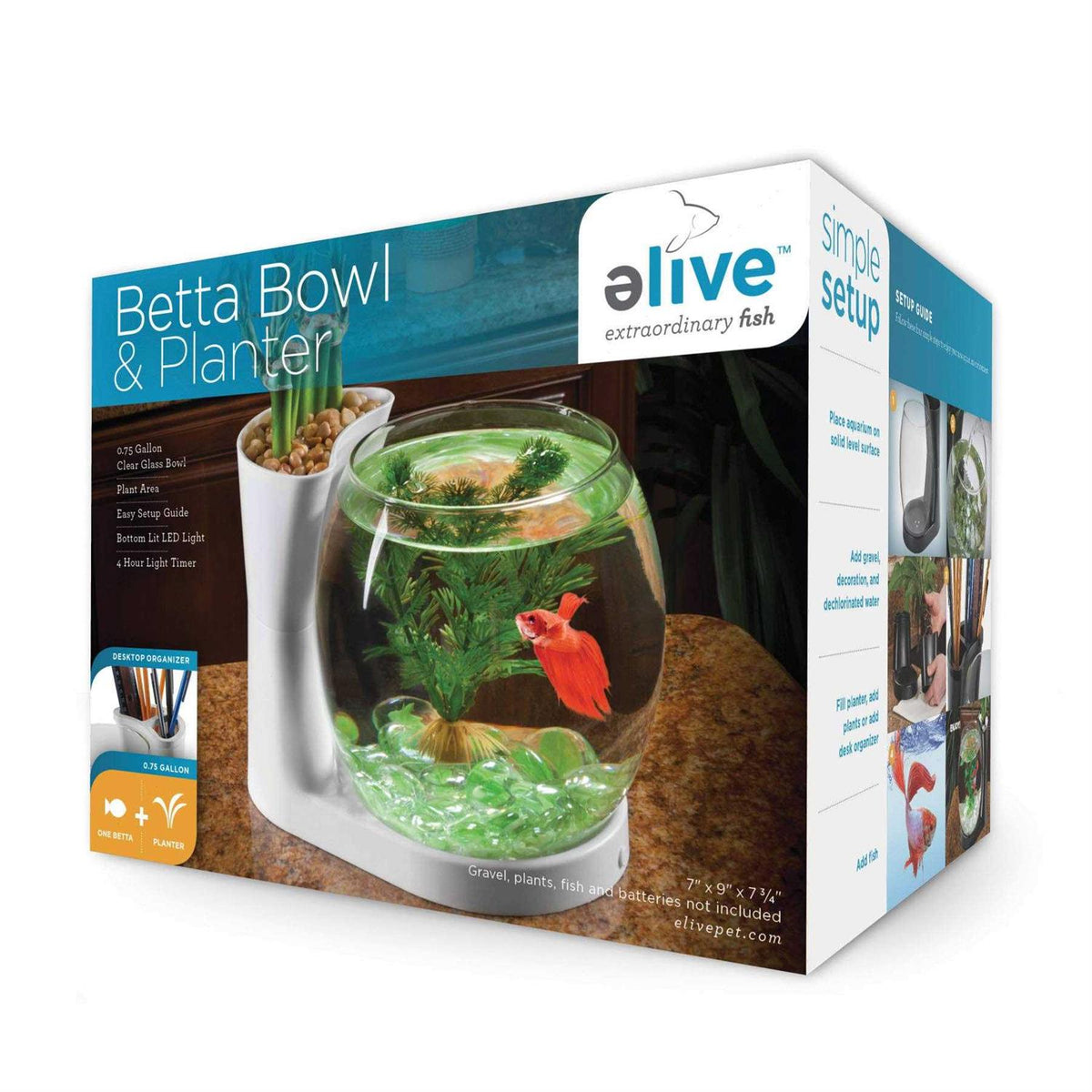 Betta Fish Bowl / Betta Fish Tank with Planter F201022