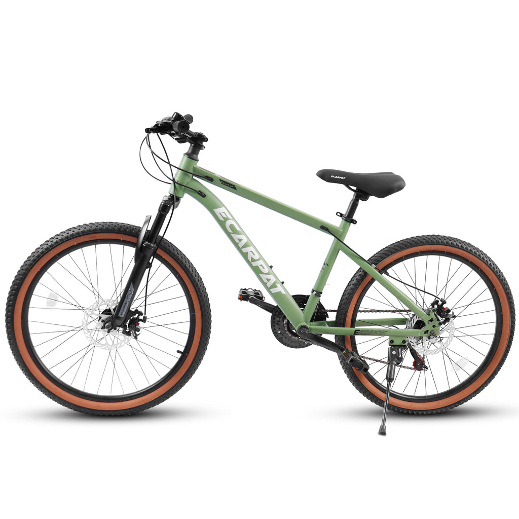 24 Inch Carbon Steel Frame Mountain Bike G778